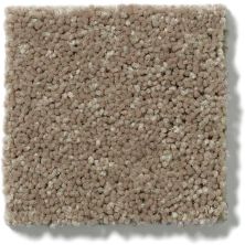 Shaw Floors Dyersburg Classic 12′ Driftwood 55720_E0947