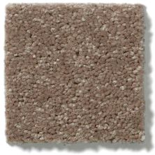 Shaw Floors Dyersburg Classic 12′ Winter Wheat 55791_E0947