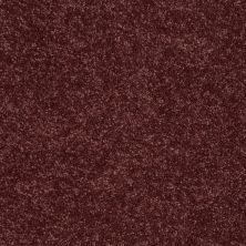 Shaw Floors Dyersburg Classic 15′ Radiant Orchid 00931_E0948