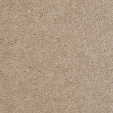 Shaw Floors Value Collections This Is It Net Basketry