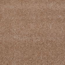 Shaw Floors Value Collections This Is It Net Kansas Soil