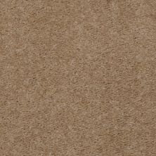 Shaw Floors Value Collections This Is It Net Winter Milk