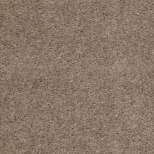 Shaw Floors Value Collections This Is It Net Wildwood