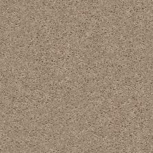 Shaw Floors Value Collections Xv442 Net Tumbleweed