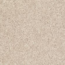 Shaw Floors Value Collections Xv442 Net Frosted Glass