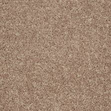Shaw Floors Value Collections Xv442 Net Washed Suede