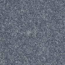 Shaw Floors Value Collections Xv442 Net Leisure Blue