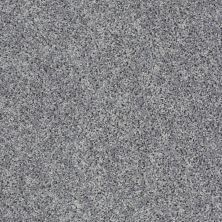 Shaw Floors Value Collections Xv442 Net Windy City