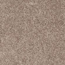 Shaw Floors Value Collections Xv442 Net Ancient Stone