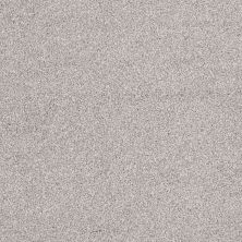 Shaw Floors Anso Open III (t) Frosted Ice 00510_E0993
