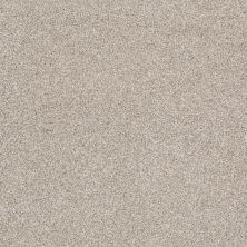 Shaw Floors Anso Open III (t) Cork Board 00711_E0993
