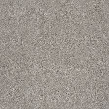 Shaw Floors Anso Open III (t) Cocoa 00712_E0993