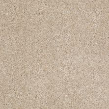 Shaw Floors Value Collections Xvn05 (t) Rich Butter 00210_E1237