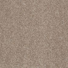 Shaw Floors Value Collections Xvn05 (t) Sombrero 00710_E1237