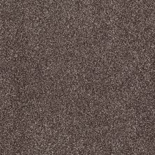 Shaw Floors Value Collections Xvn05 (t) Fudge Ripple 00717_E1237
