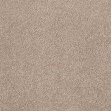 Shaw Floors Value Collections Xvn06 (s) Havana 00701_E1238