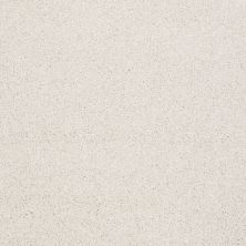 Shaw Floors Value Collections Xvn06 (t) Natural Cotton 00110_E1239