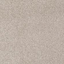 Shaw Floors Value Collections Xvn06 (t) Doeskin 00112_E1239