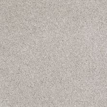 Shaw Floors Value Collections Xvn06 (t) Antique Satin 00115_E1239