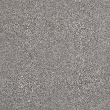 Shaw Floors Value Collections Xvn06 (t) Battleship 00513_E1239