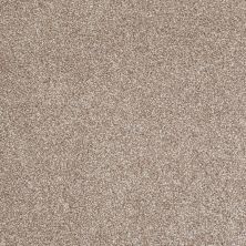 Shaw Floors Value Collections Xvn06 (t) Sombrero 00710_E1239