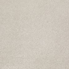 Shaw Floors Value Collections Xvn07 (s) Mist 00107_E1240