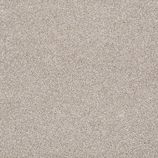 Shaw Floors Value Collections Xvn07 (t) Doeskin 00112_E1241