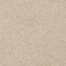 Shaw Floors Value Collections Xvn07 (t) Rich Butter 00210_E1241