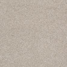 Shaw Floors Value Collections Xvn07 (t) Cork Board 00711_E1241