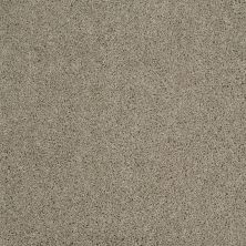 Shaw Floors Value Collections Origins Net Gray Flannel 00511_E9025