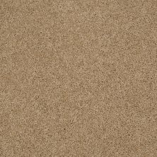 Shaw Floors Value Collections Origins Net Natural Wood 00701_E9025