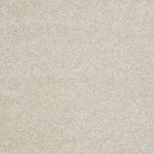 Shaw Floors Value Collections Dakota Springs Net Sailcloth