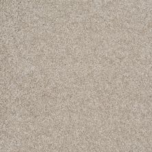 Shaw Floors Value Collections Dakota Springs Net Abalone