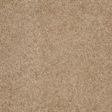 Shaw Floors Value Collections Dakota Springs Net Reed