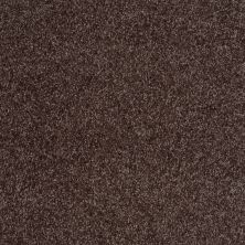Shaw Floors Value Collections Dakota Springs Net Mink