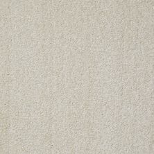 Shaw Floors Value Collections Jealousy Net Plaster 00103_E9121