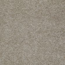 Shaw Floors Value Collections Jealousy Net Hickory 00711_E9121