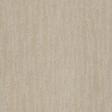 Shaw Floors Value Collections Chambers Bay Net Agate