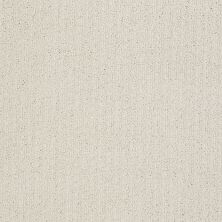 Shaw Floors Value Collections Gainey Ranch Net Canvas 00103_E9123