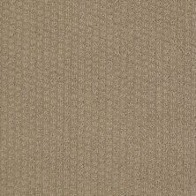 Shaw Floors Value Collections Gainey Ranch Net Sable 00754_E9123