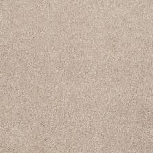 Shaw Floors Value Collections Sweet Life Net French Canvas 00102_E9124