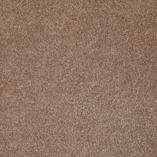 Shaw Floors Value Collections Sweet Life Net Acorn 00700_E9124