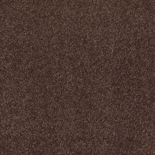 Shaw Floors Value Collections Sweet Life Net Maple 00707_E9124