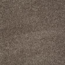 Shaw Floors Value Collections Majority Rules Net Rustic Taupe 00706_E9126