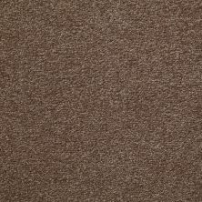 Shaw Floors Great Choice Brushed Suede