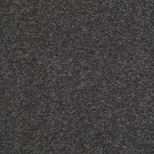 Shaw Floors Great Choice Kensington