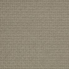 Shaw Floors Value Collections Activate Net Gray Flannel 00511_E9138