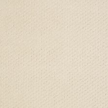 Shaw Floors Value Collections Genesis Net Winter White