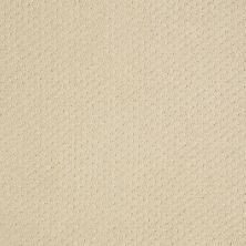 Shaw Floors Value Collections Genesis Net Linen