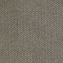Shaw Floors Value Collections Genesis Net Pewter